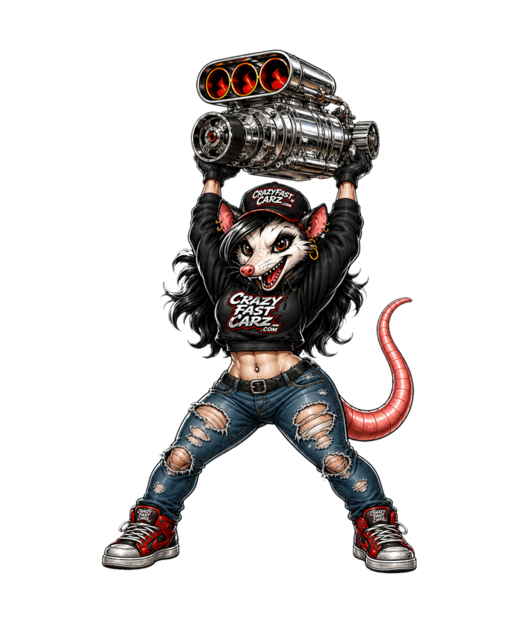 Boost Possum