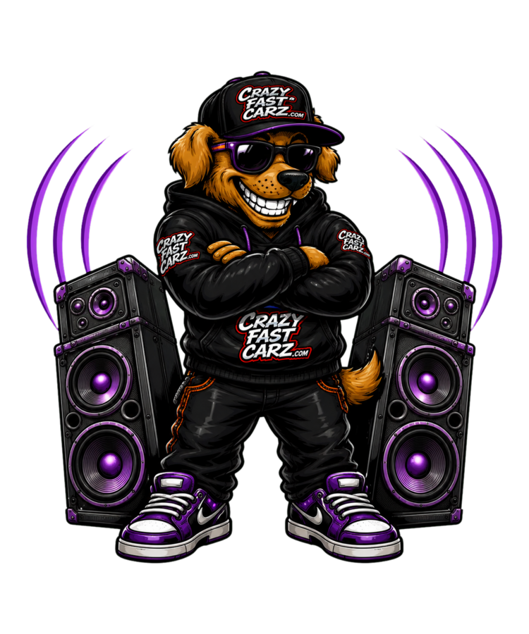 Sound System Dog