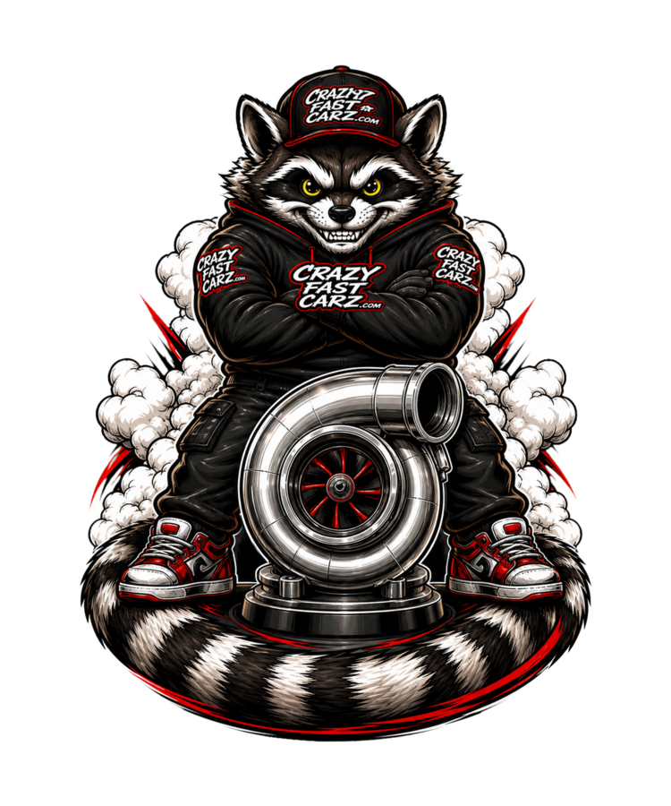 Turbo Raccoon